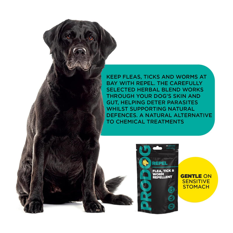 ProDog Repel Plant-Based Flea, Tick & Worm Supplement for Dogs - Daily Herbal Gut, Skin & Immune Support | Meal Topper with Kelp, Neem, Black Cumin & Holy Basil | For Dogs 6 Months+ - 300g