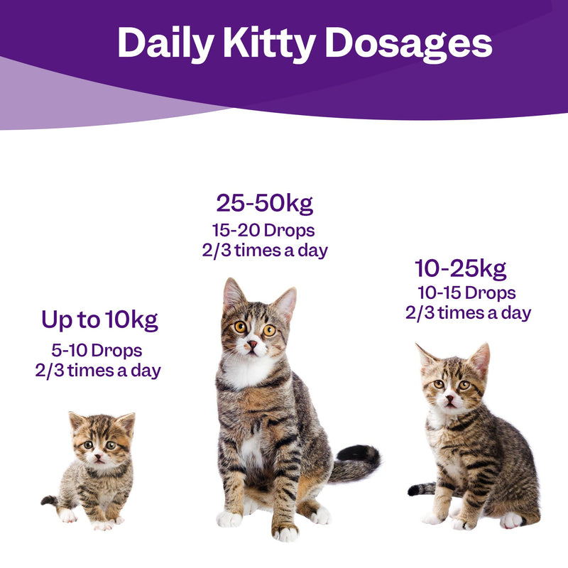 Cat Calming Drops, Cat Anxiety Relief, Relaxant Supplements, Valerian & Ashwagandha - 100% Natural Stress Treatment, No need for Cat Calming Plug-In, 30ml 30 ml (Pack of 1)