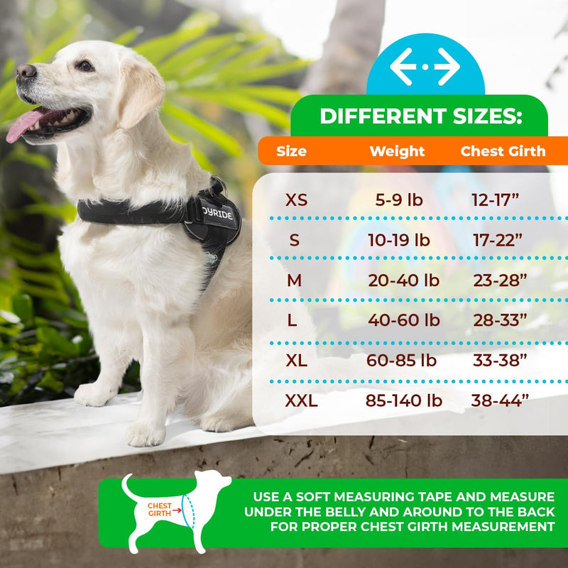 Joyride Harness LED Light Up Dog Harness 2.0 - Patent Pending Design, 3 LED Modes, Vibrant Rechargeable Lighting, Customizable Name Tag Area, and Convenient On/Off Button for Enhanced Pet Safety Large Black - BeesActive Australia