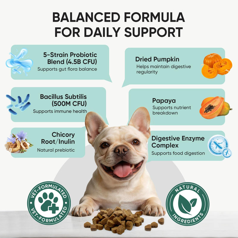 Probiotics for Dogs Gut Digestive Health Probiotic Chews for Dogs Digestive Enzymes Relieve Diarrhea Immunity Oral Problems Itching Constipation Prebiotics Dog Probiotics 200 Ct Chicken