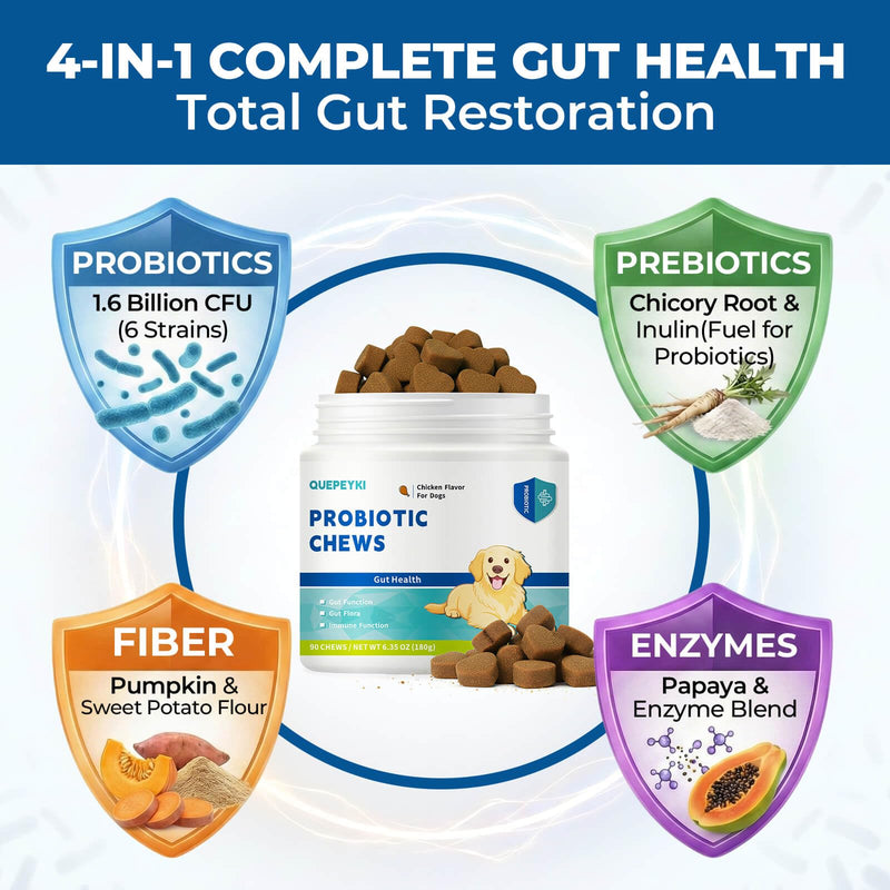 Dog Probiotics Soft Chews, 1.6 Billion CFU Probiotic Chews for Dogs with Pumpkin, Papaya & Digestive Enzymes, Daily Gut Health Support for Gas, Stool Consistency & Sensitive Stomach, 90 Count