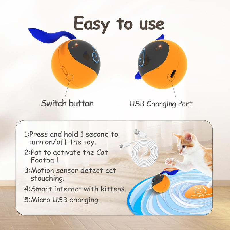Migipaws Interactive Cat Ball Toy Set, Fun Tracker, Glowing Chase Ball with MystiChaser Pouch, Fluffy Tail, A Small Mice (Orange) orange - BeesActive Australia