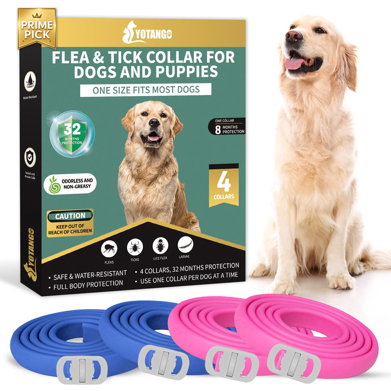 YOTANGO 4 Pack Flea Collar for Dogs, Dog Flea Collar Waterproof, 32 Months Prevention, Dog Fleas and Tick Treatment, Adjustable Fleas and Tick Protection for Dogs Puppy(Blue & Pink)