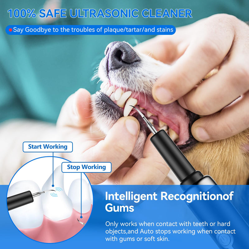 Dog Plaque Tartar Remover for Teeth, Pet Ultrasonic Tooth Cleaner, Dental Tools Cleaning Kit for Teeth Stains for Dogs & Cats with 5 Modes,Black Black - BeesActive Australia