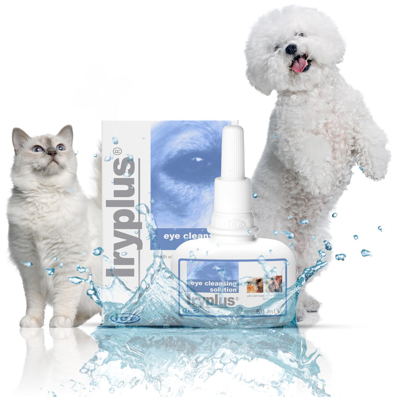 ICF | Iryplus Eye Solution for Dogs and Cats | Gentle Cleansing & Soothing Formula | Removes Secretions, Scabs & Mucus Around Eye | Chamomile | 50ml