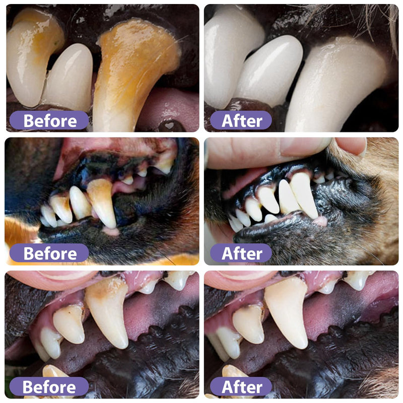 Pet Oral Repair Gel,Pet Oral Restoration White Gel,Pet Breath Freshener Gel No Brushing Oral Care Cleaner，Easy Teeth Cleaning Gel for Dogs & Cats,3ML (3box,6pcs) 6 - BeesActive Australia