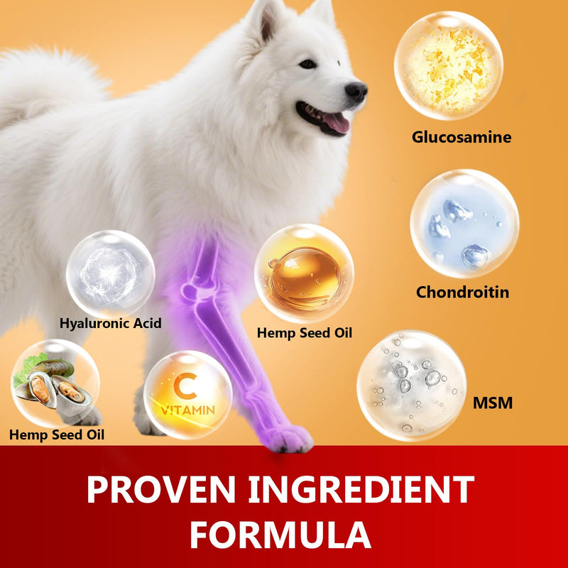 Dog Hip & Joint Chews 120 Count – Glucosamine, Chondroitin, MSM, Green-Lipped Mussel & Hyaluronic Acid for Mobility & Joint Support, Hemp Seed Oil, Duck Flavor, All Breeds