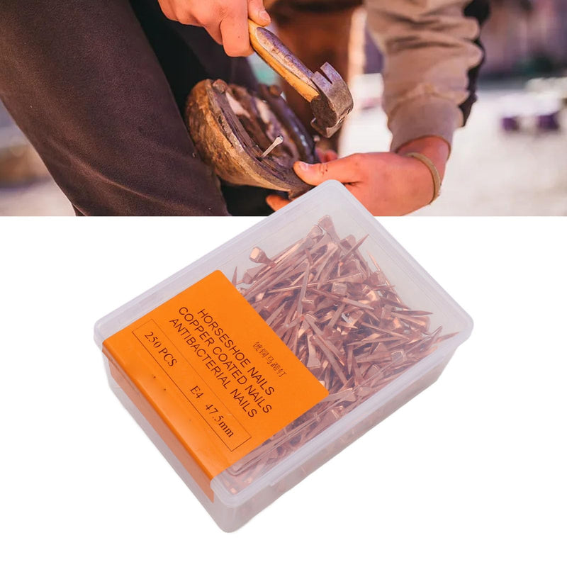 250Pcs Horseshoe Nails, Solid Pure Copper Equestrian Riding Equipment Horseshoe Tools for Horse Racing Training (47.5mm E4) 47.5mm E4 - BeesActive Australia