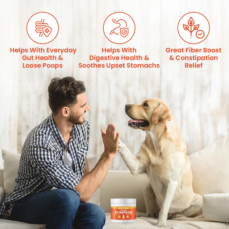 Ultimate Pumpkin for Dogs (16 oz) - with Organic Pumpkin, Apple, Sweet Potato, Miscanthus Grass & Blueberry, Digestive Support Relief for Constipation, Loose Stools, and Upset Stomaches, 60 Scoops - PawsPlanet Australia