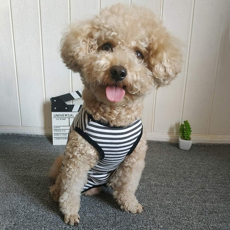 Kukaster Pet Dog Bodysuit After Surgery Female Male Castration Wound Protection Suits for Dogs, Nylon Buckle for Hair Loss, Allergies, Shaving, Black Stripes M - BeesActive Australia
