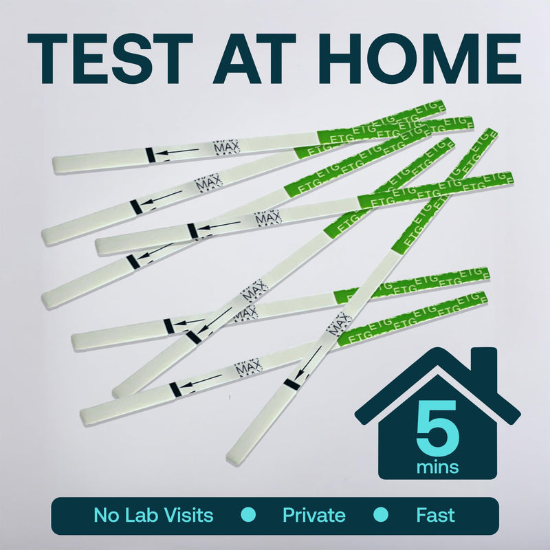 ETG Alcohol Urine Test Strips - At Home ETG Test with 80 Hour Detection Window - Easy to Use Strips Deliver 5 Minute Results - Reliable Home Drug and Alcohol Screening Kit - [25 Pack] – 12 PANEL NOW - BeesActive Australia