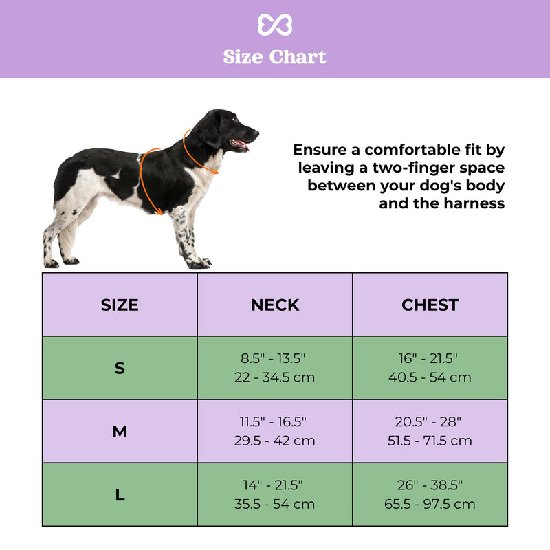 Adjustable Dog Harness with Handle | BearBone No Pull Dog Vest Harness | Front Clip Harness for Dogs | Best Dog Harness for Walking and Training | Medium Dog Harness | Lilac Dog Harness - BeesActive Australia