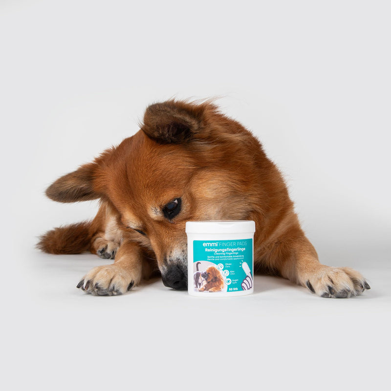 Emmi-pet finger pads for dogs and cats, disposable cleaning finger pads for ears, chin and eyes, cleaning wipes for care and hygiene, 50 pieces - BeesActive Australia