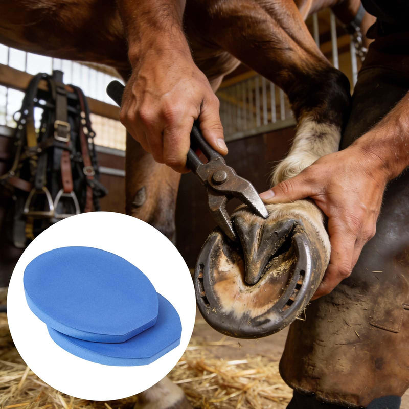 Insert Pad for Horses Hoof Boots– Closed-Cell EVA Comfort Pad with 2-Degree Wedge, Compatible with Cloud Hoof Boots Size 3