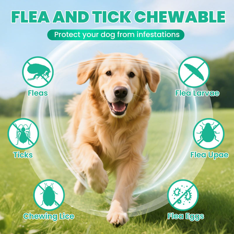 Flea and Tick Prevention for Dogs Chewable, 200 Natural Soft Chews Oral Flea and Tick Supplement for Dogs Puppies, All Breeds & Sizes - Chicken Flavor 200 Soft Chews