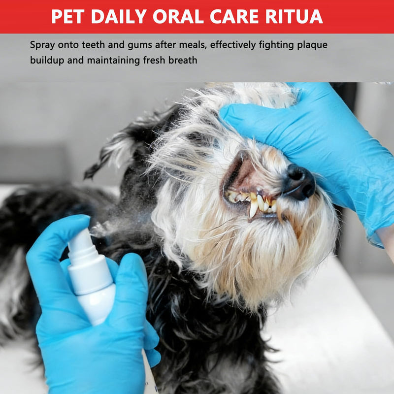 Bee Propolis Oral Spray for Dogs & Cats – 3.4 fl oz Gum Relief for Gingivitis, Reduce Plaque & Bad Breath, Post-Surgery Healing Support, Immune System Boost, Pet Dental Care