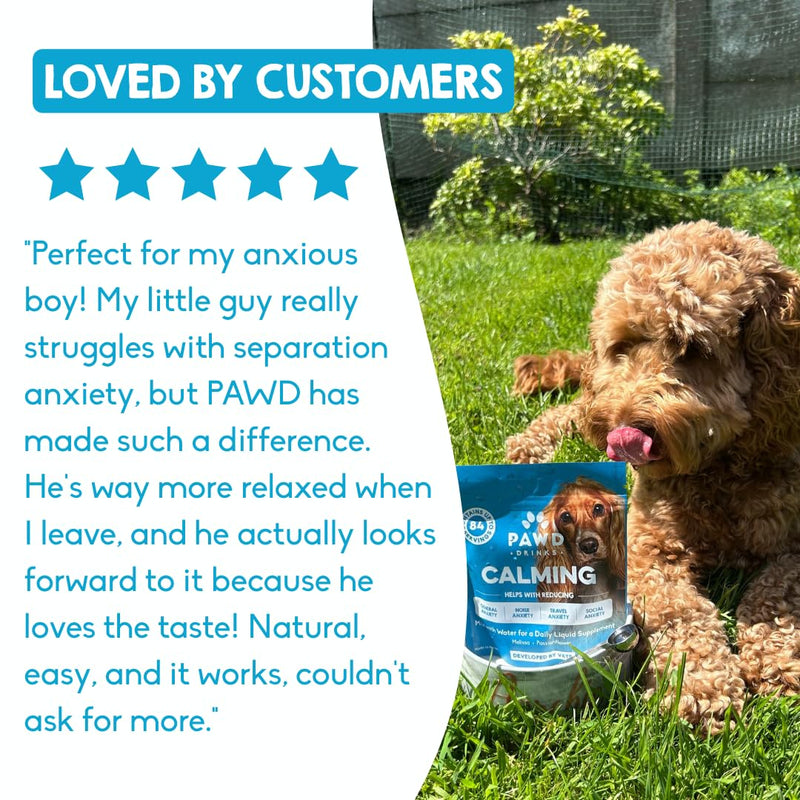 PAWD Calming Dog Powder Supplement – Fast-Acting Dog Anxiety Relief for Stress, Fireworks & Travel – Natural Calming Treats & Tablets Alternative, Vet Approved. Mix with Water. Dogs Under 15kg Calming Pouch - Dogs Under 15kg