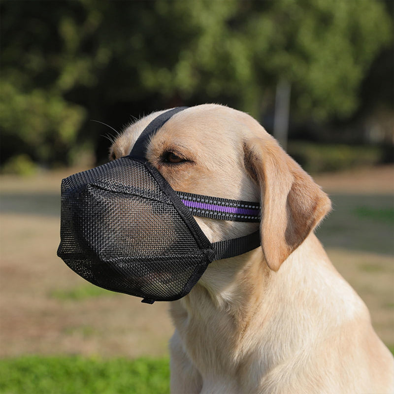 Dog Muzzle, Dog Muzzle, Mesh Soft Muzzle for Large Dogs with Reflective Adjustable Strap, Muzzle Medium Dogs, Breathable Dog Muzzle, Prevent Eating, Biting, XL - BeesActive Australia