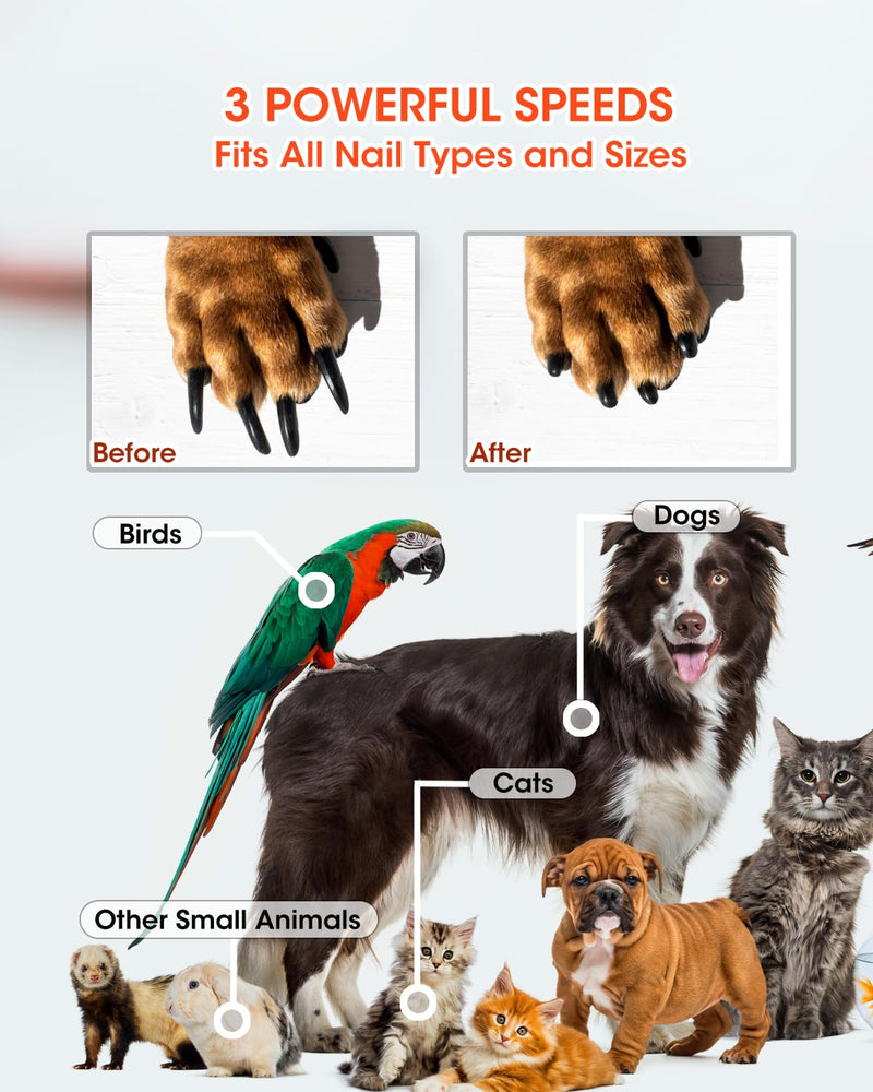 Super Powerful Dog Nail Trimmers, Dog Nail Clipper and Dog Nail Grinder Combo, Ultra Quiet, 3 Speeds, 4 Bright Lights, with Travel Lock, for Small, Meddium and Large Dogs, Cats, Small Animals Blue2 - BeesActive Australia