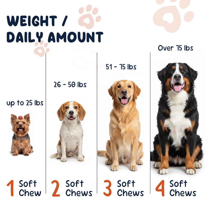 Dog Joint Support Supplement – Glucosamine, Chondroitin & MSM for Hip & Joint Function Support, Flexibility, and Daily Activity – 90 Soft Chews Chicken