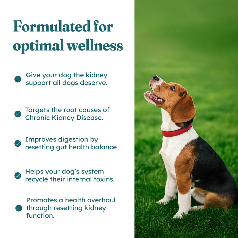 PetHeal Kidney Guard Chews for Dogs - Vet-Reviewed - Supports Renal Health & Energy with Astragalus, Cordyceps, Dong Quai & Rehmannia | Promotes Kidney Function & Detox | 30 Soft Chews, Pork Flavor