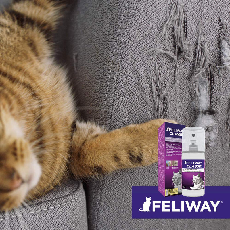 FELIWAY CEVA Classic Spray 60 ml (pump spray) - BeesActive Australia