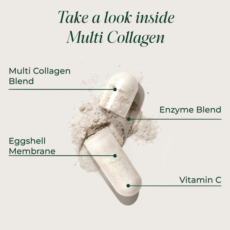 Primal Harvest Multi Collagen - Daily Supplement, Dairy & Gluten Free 240 Count (Pack of 1)