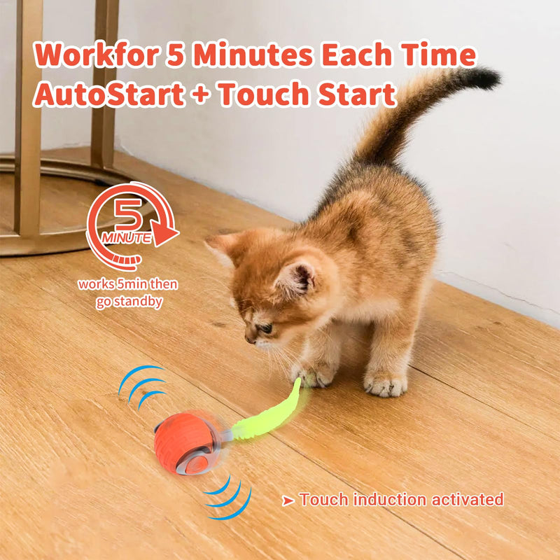 JAKPAK Cat Dog Toys Interactive Dog Cat Toy for Indoor Cats and Dogs with Tail Bird Chirping & Fast Move On Carpet Automatic Cat Dog Cat Ball Toy for Bored Indoor Cats(Orange) - BeesActive Australia