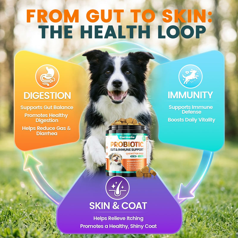 Probiotics for Dogs, Dog Probiotics for Yeast, Itchy Skin and Itchy Ears, Allergies, Immunity, Dog Gut Health Probiotic for Digestive Enzymes & Prebiotics for Diarrhea & Gas Relief (Chicken, 200 Chew)