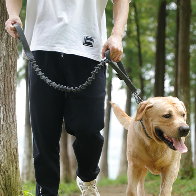 EXCELLENT ELITE SPANKER Military Bungee Dog Leash Elastic Leads Rope with 2 Padded Control Handle for Medium and Small Dogs (Black) Black - BeesActive Australia