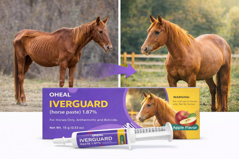 IverGuard Horse Paste 1.87%: Apple-Flavored Horse Paste, Up to 3086lbs, 15g