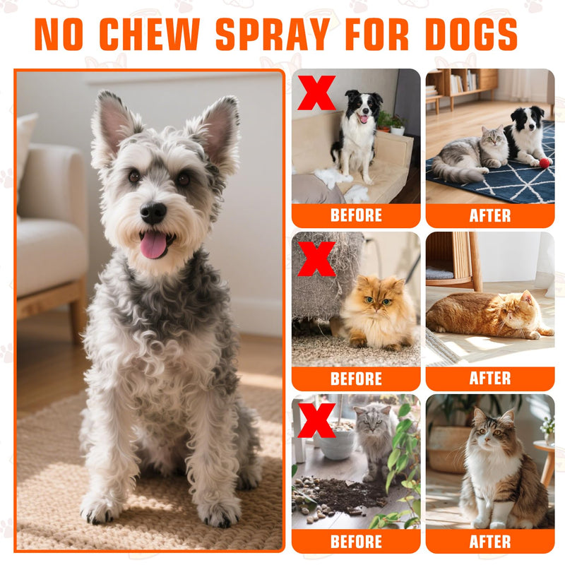 Effectively | Bitter Apple Spray for Dogs, 100ml No Chew Spray for Dogs to Stop Chewing, Preventing Puppies from Damaging Furniture, Dog Training & Behavior Aids Spray, Indoor & Outdoor Use Green