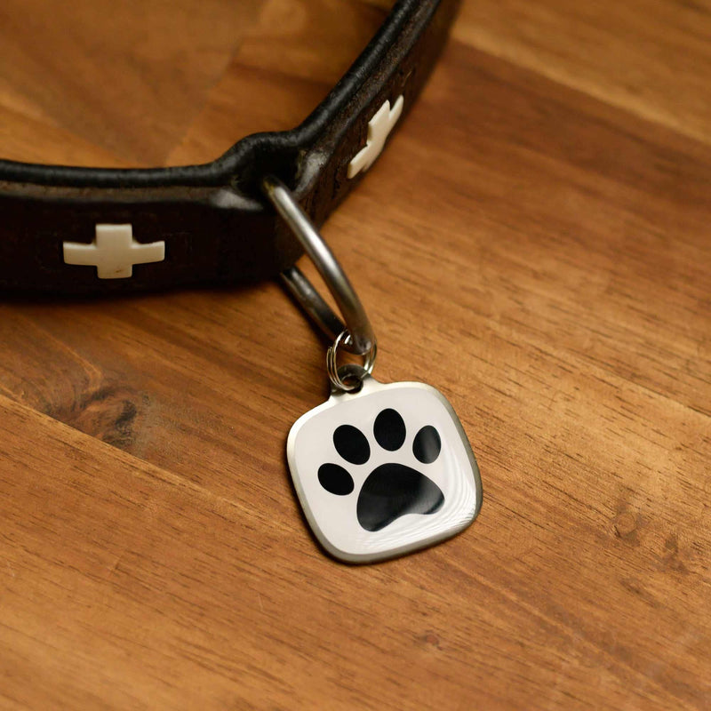 SECURE your dog - 1x customizable tag and app for iOS and Android - Personalized QR code dog tag - Dog address tag - Contact us in seconds using the chat function - BeesActive Australia