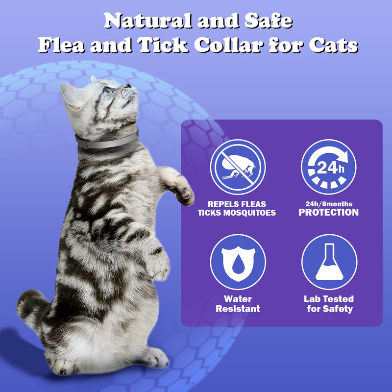 Flea and Tick Collar for Cats, 8 Months of Cat Flea Collar Protection 2 Collars Made with Premium Plant Based Essential Oil Waterproof and Natural Treatment Prevention Free Comb, 2Pack - BeesActive Australia