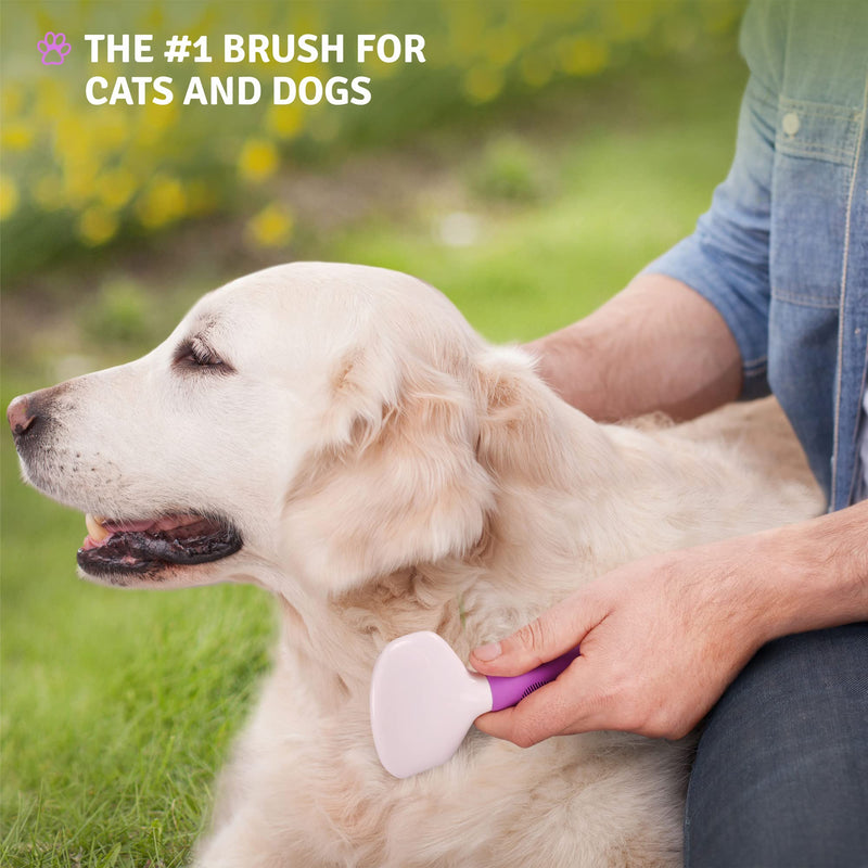 Poodle Pet Bundle - Slicker Brush for Small and Large Dogs Pet Hair Remover Grooming Brush and Dog Grooming Rake Dematting Tool Removes Loose or Tangled Hair from Undercoat - BeesActive Australia