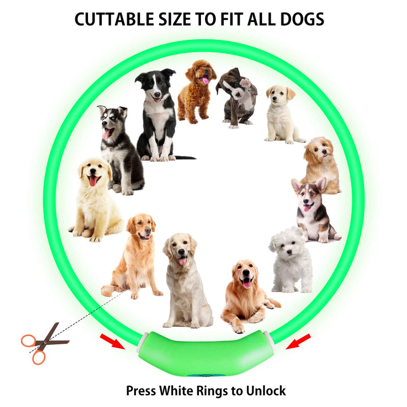 2-Pack LED Dog Collar, Light Up Dog Collars,Rechargeable Dog Lights for Night Walking，Universal, Reusable Safety Necklace for Small Medium Large Dogs Green&Blue - BeesActive Australia