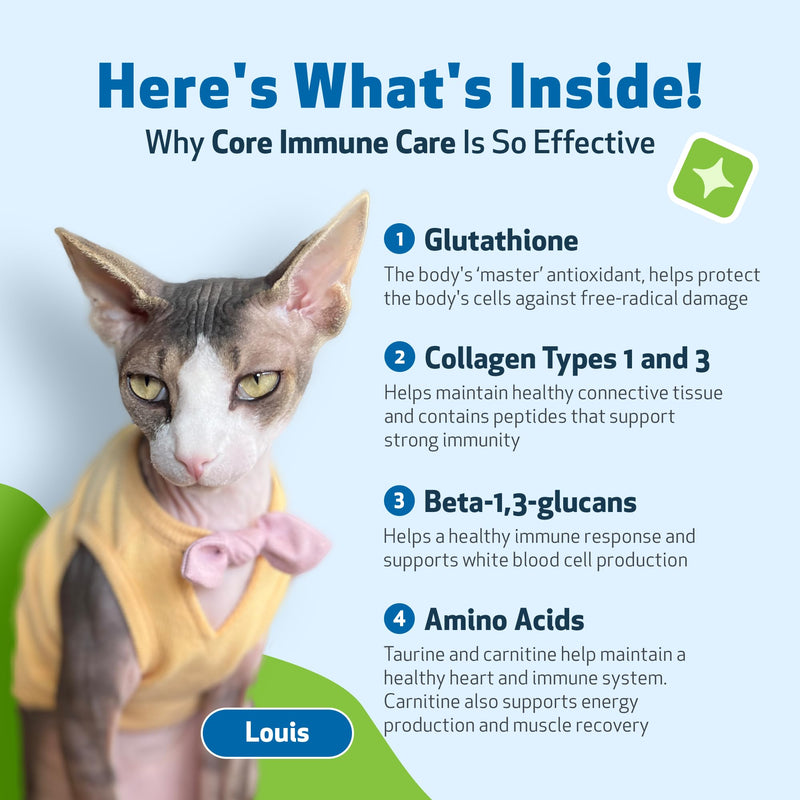 Pet Wellbeing Core Immune Care for Dogs & Cats - Daily Antioxidant Support for Pets of All Ages - Vet-Formulated - 3.7 oz (105 g) Powder - BeesActive Australia