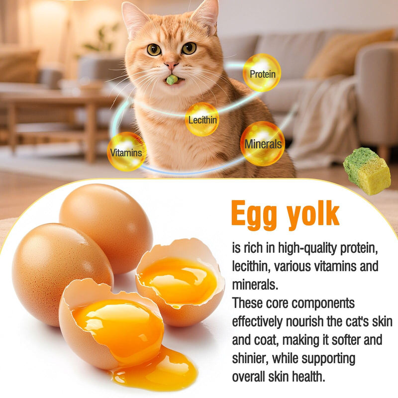 Freezed-Dried Cat Grass Treats, Catgrass Egg Yolk Duo Bites, Cat Dental Treats for Hairball Control and Healthy Coat, Cats Teething Stick (60g, EggYolk) 2.11 Ounce (Pack of 1)