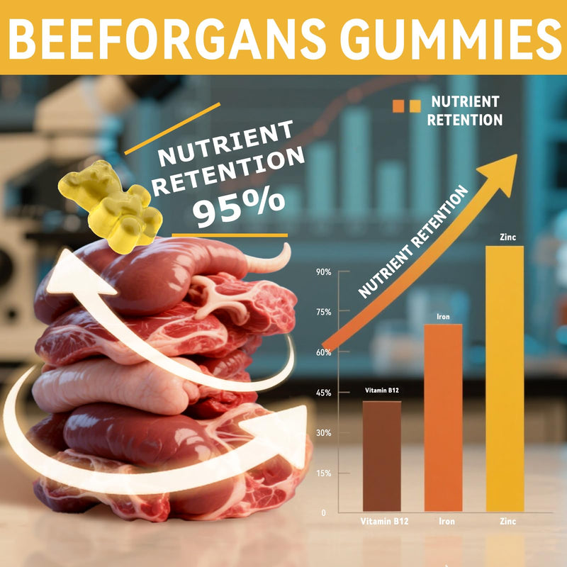 Beef Organ Supplement for Women：Grass Fed Beef Organ Gummies Supplement, Wellness with Liver Heart Kidney Pancreas Spleen Supports Women's Overall Energy and Health Non-GMO(60 Gummies)