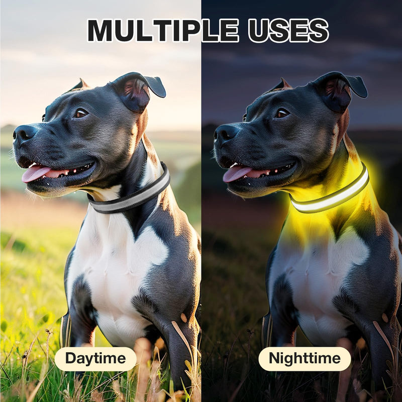 PcEoTllar Luminous Dog Collar, Luminous Dog Collar, Rechargeable, 7 Colors with 9 Light Modes, LED Collar for Dogs, Waterproof, Luminous Collar for Small Medium Large Dogs, Black-M M - BeesActive Australia