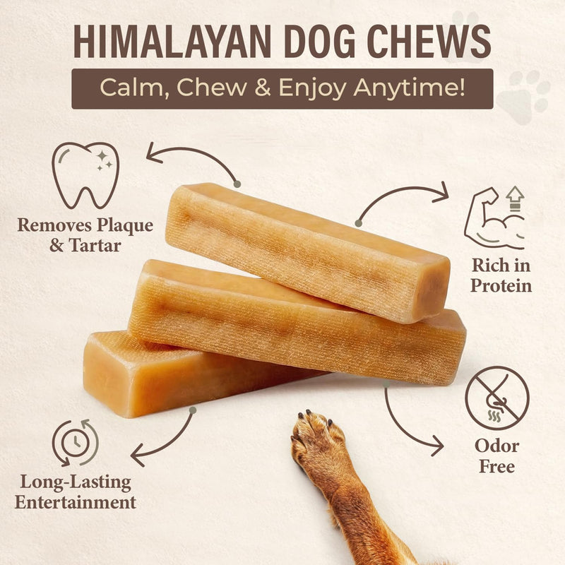 Himalayan Yak Cheese Dog Chew (Large, 3 Count) – 100% Natural, Long-Lasting Hard Treats for Super Chewers – Grain-Free, Lactose-Free, Odor-Free Incredibly Durable Churi Sticks for Dogs 1 Pound (Pack of 1)