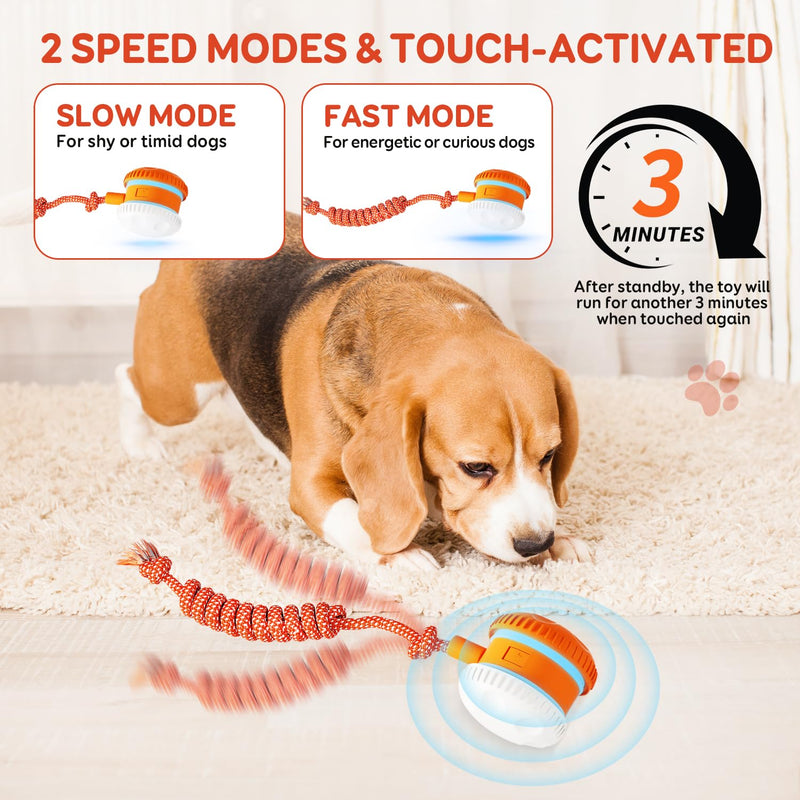 Interactive Dog Ball, Random Path Electric Automatic Moving and Rolling Dog Toy with Rope for Small Medium Large Dogs, Motion-Activated Dog Stimulation Toy for Boredom Relief (Orange-Red) Orange-Red - BeesActive Australia