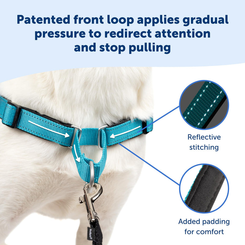 PetSafe Easy Walk Deluxe Dog Harness, No Pull Dog Harness – Perfect for Leash & Harness Training – Stops Pets from Pulling and Choking on Walks – Large, Ocean Large (Pack of 1) - BeesActive Australia