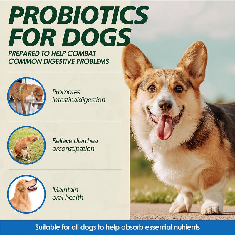 Probiotics for Dogs Gut Health, Digestion, Immunity, Relieve Diarrhea, Dog Probiotics Chews with Digestive Enzymes and Prebiotics, 200 Tablets (Chicken) Chicken