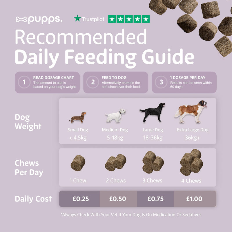 Pupps Itch Relief Dog Treats – 120 Natural Anti-Itch Chews for Dogs | Soothes Itchy Skin, Paws & Ears | With Colostrum, Turmeric & Salmon Oil | Allergy & Skin Support | Vet Approved, UK Made 120 x Chews