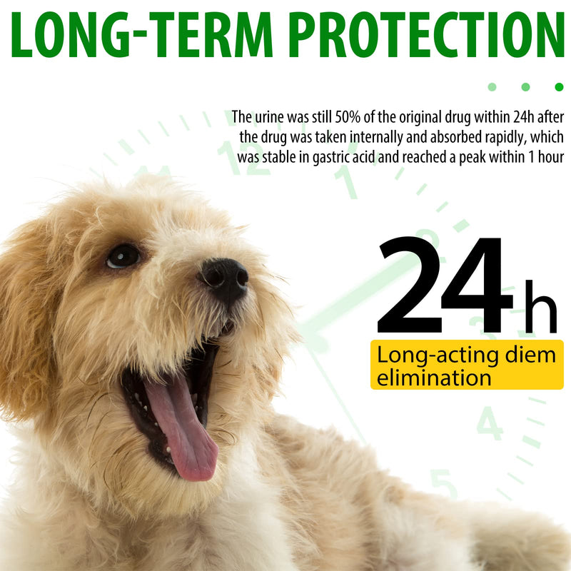 Dog Antibiotics Antibiotics for Dogs Dog Eye Infection Treatment Dog Cough Treatment Dog Cough Treatment 4.04fl.oz(120ml) 120ml