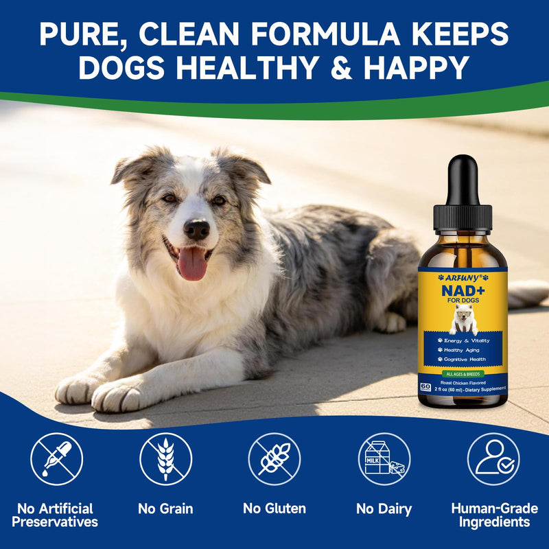 NAD+ for Dogs - Longevity Supplements for Dogs Energy, Vitality, Healthy Aging, Cognitive Health - Senior Dog Supplement with NR, Trans-Resveratrol, Quercetin, Glucosamine HCI - 60ML