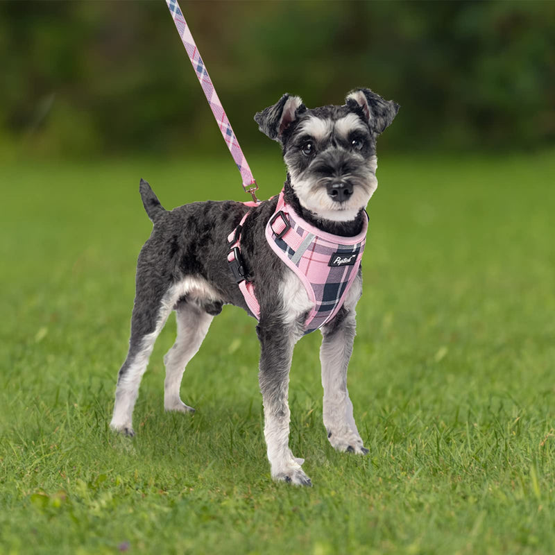 PUPTECK Dog Harness and Leash Collar Set for Small Medium Dogs Puppy and Cats Walking No Pull Adjustable Reflective Soft Mesh Padded Plaid Harnesses Pet Accessories, Pink, M M (Chest 16"-21", Neck 14.5"-17") - BeesActive Australia