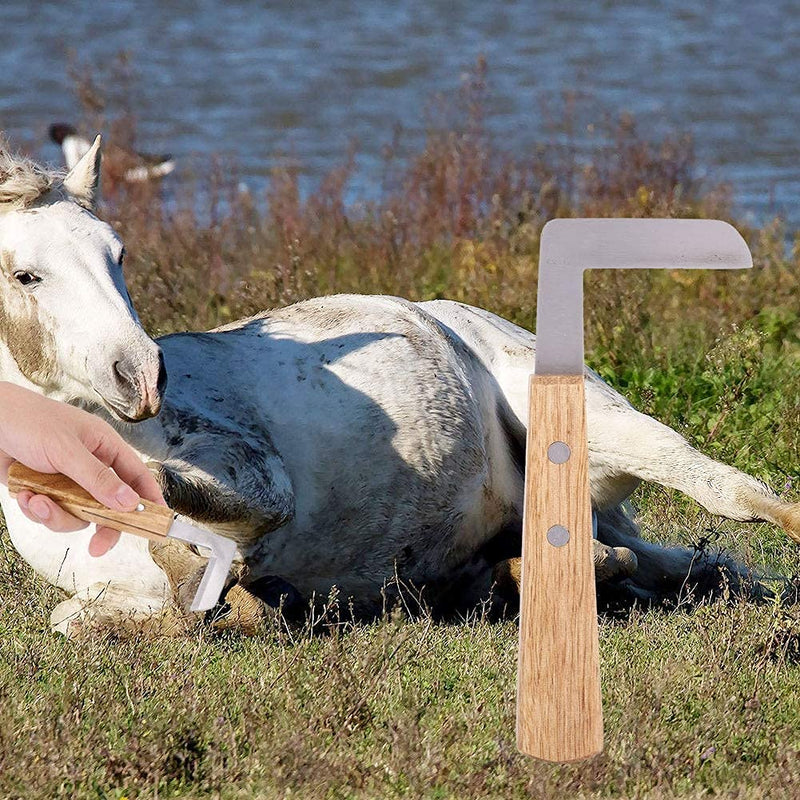Yosoo Hoof Knife Straight Blade Left Right Handed Trimming Tool Horse Equipment for Cattle Horse Use - BeesActive Australia