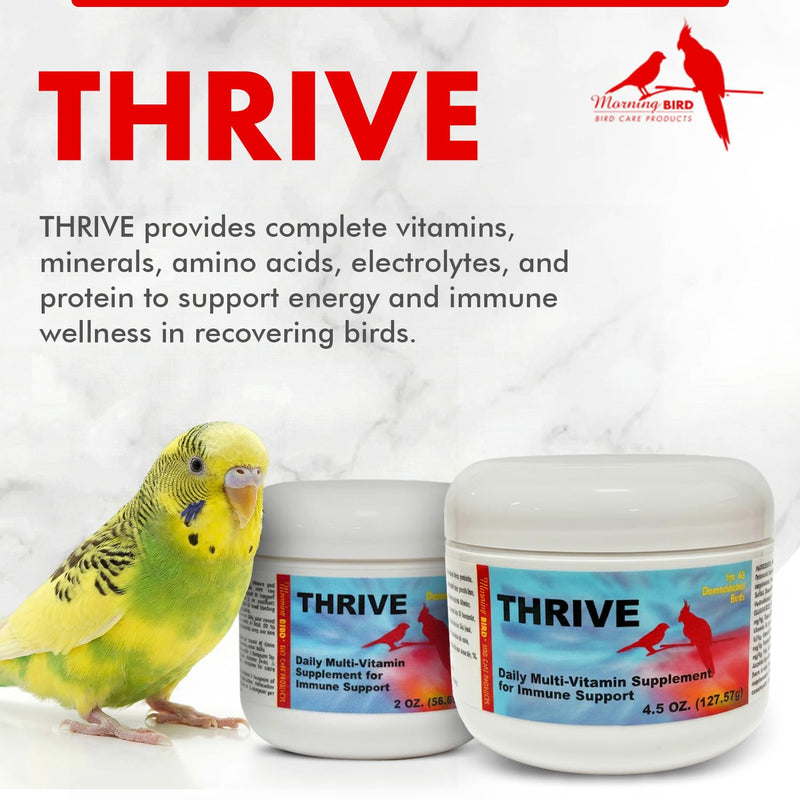 Morning Bird Thrive 4.5 oz – Daily Multi-Vitamin Bird Supplement for Immune & Recovery Support – Ideal for Sick, Injured, or Recovering Birds – Energy & Wellness Formula for Adult Birds